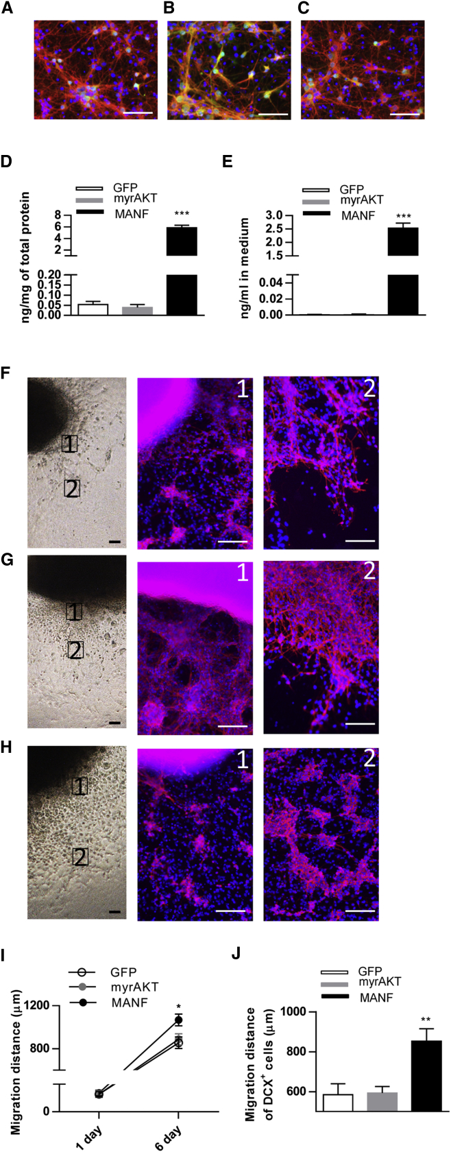 Figure 5