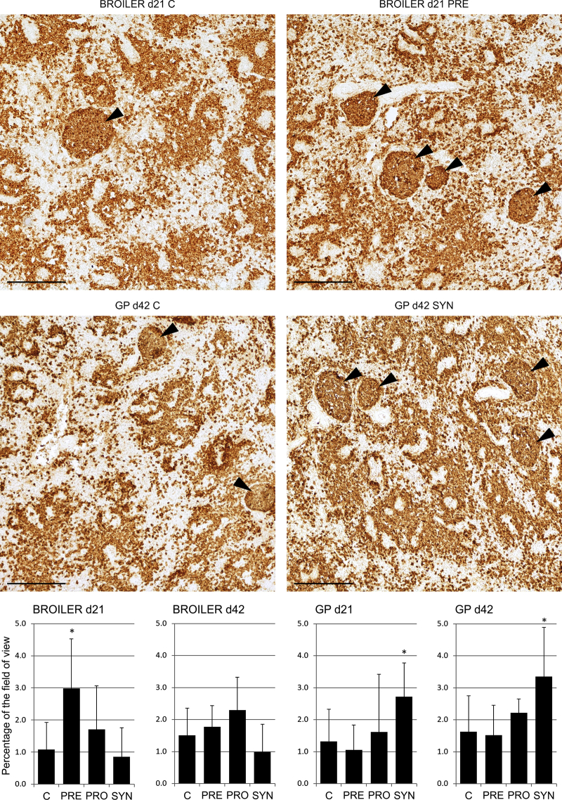 Figure 3