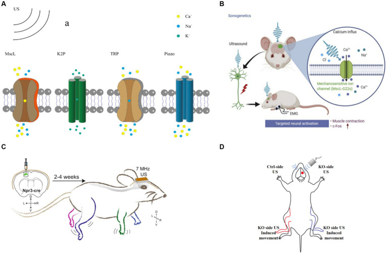 Figure 5