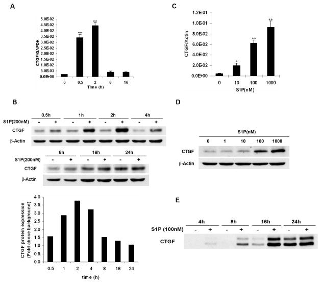 FIGURE 1