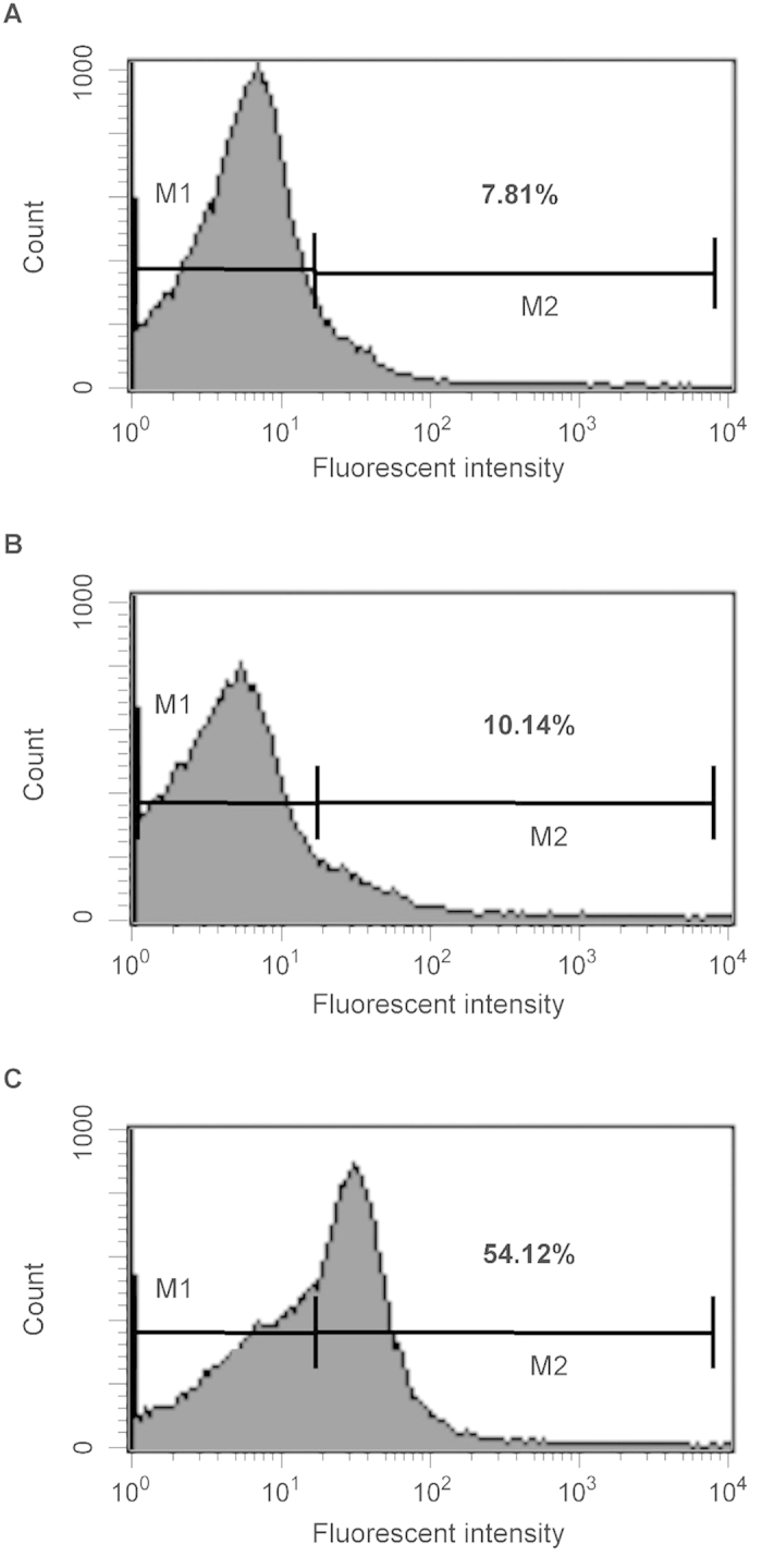 Figure 6