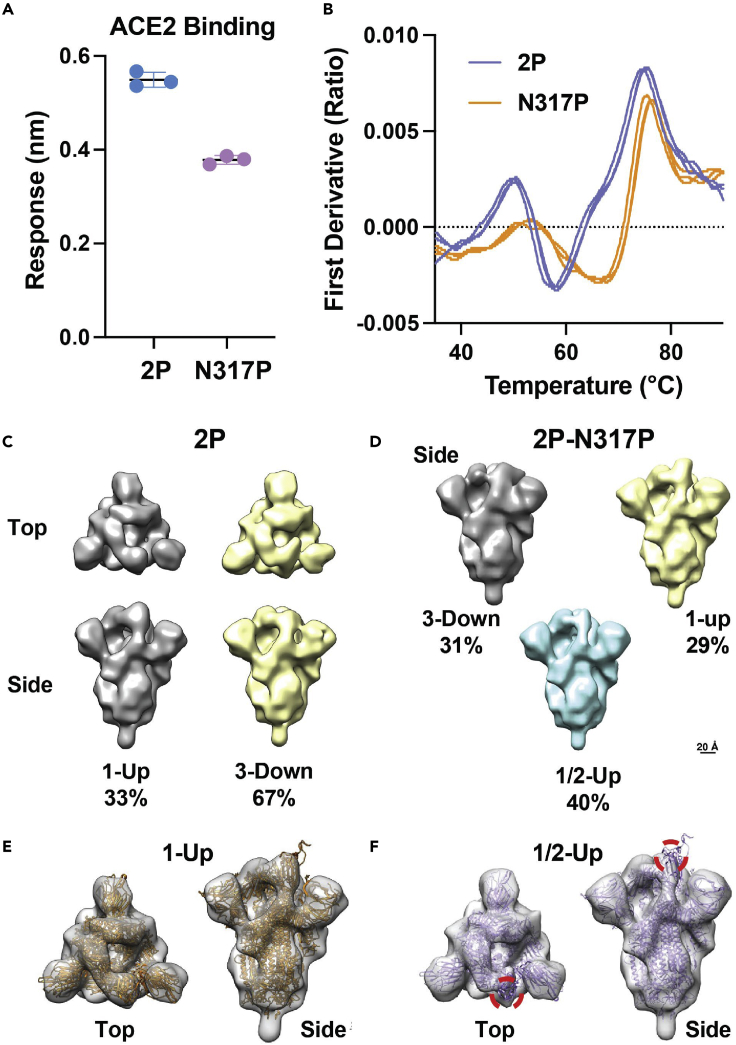 Figure 7