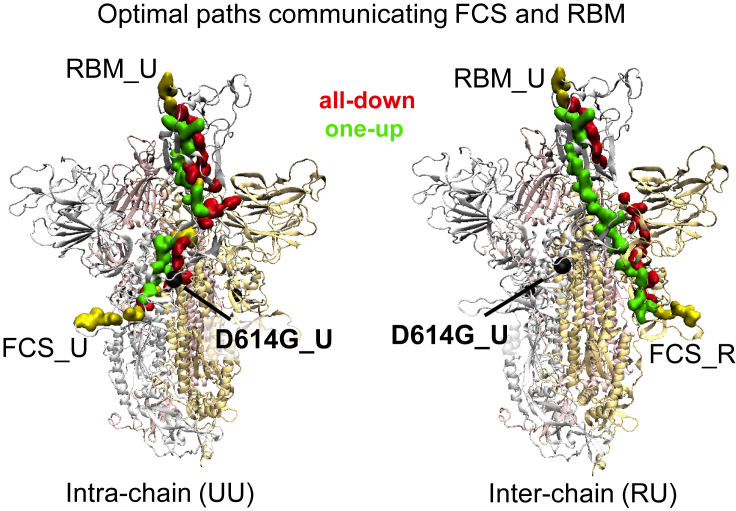 Figure 5