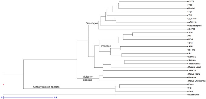 Fig 6