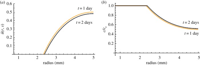 Figure 9.