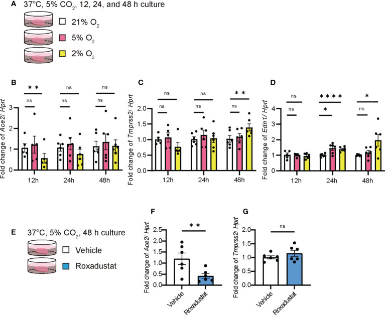 Figure 6