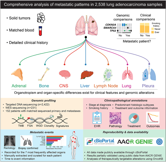 graphic file with name nihms-1888448-f0007.jpg