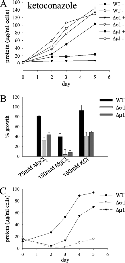 FIG. 9.