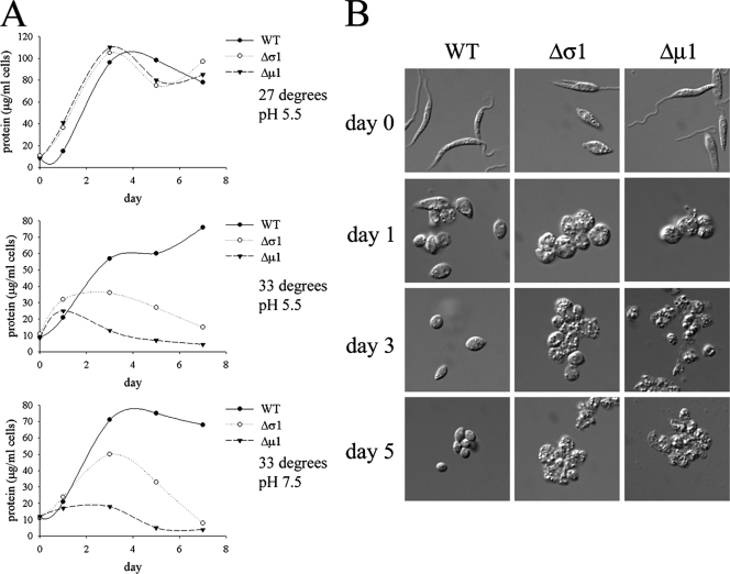 FIG. 8.