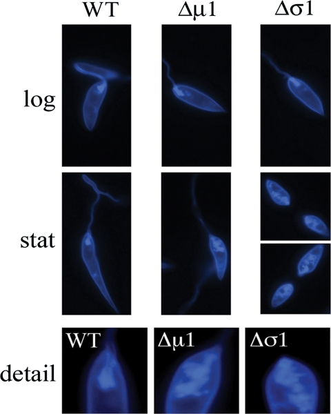 FIG. 5.