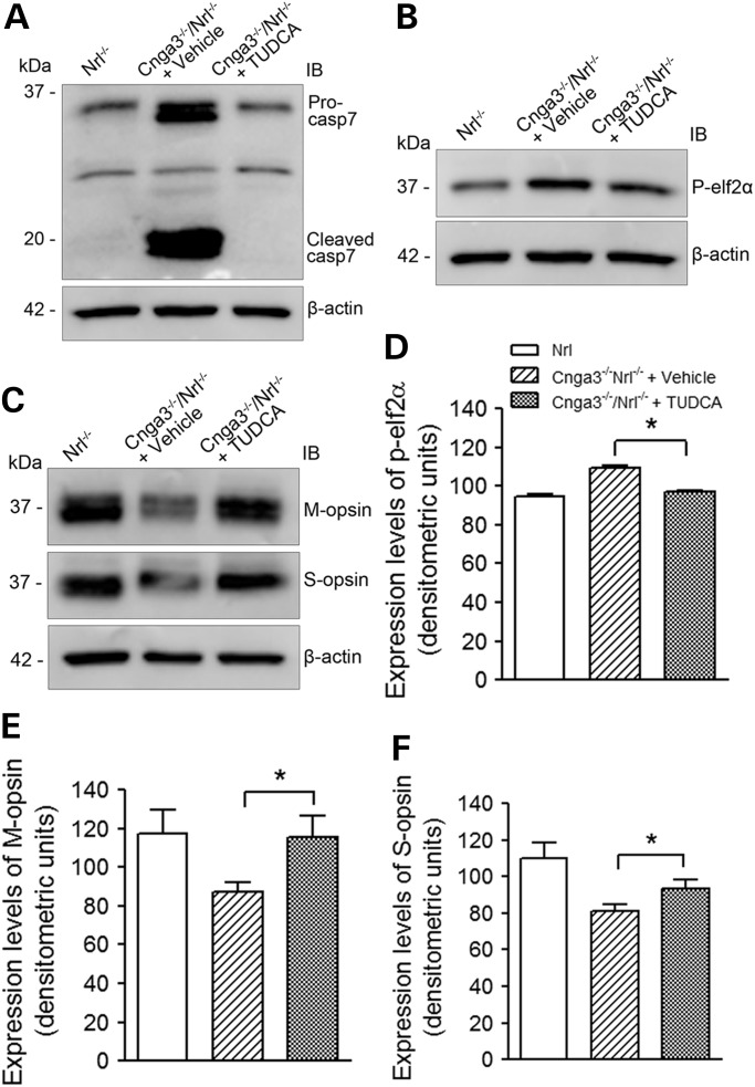 Figure 4.