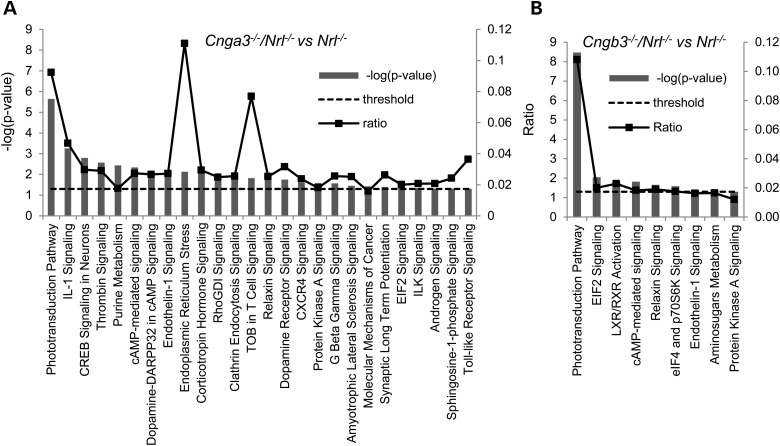 Figure 3.