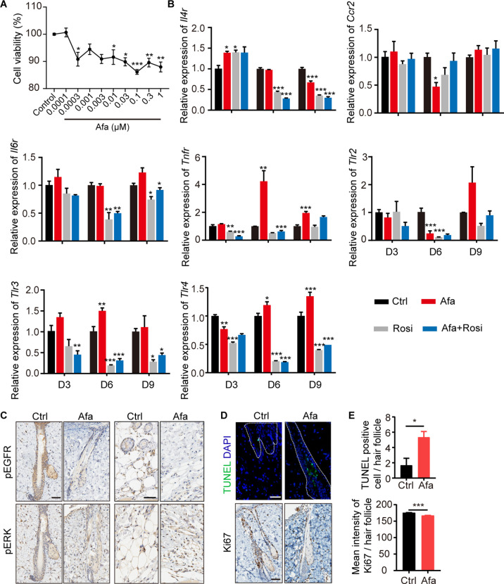 Figure 3—figure supplement 1.