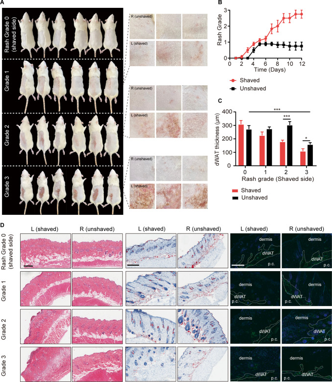 Figure 1—figure supplement 2.