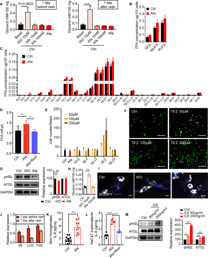 Figure 4—figure supplement 1.