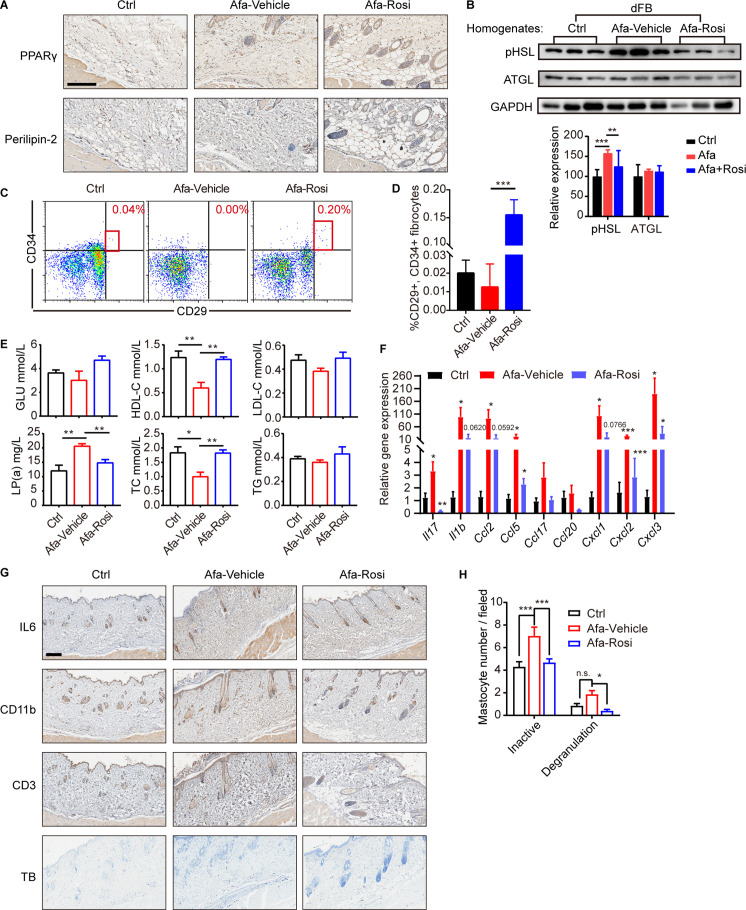 Figure 6—figure supplement 1.