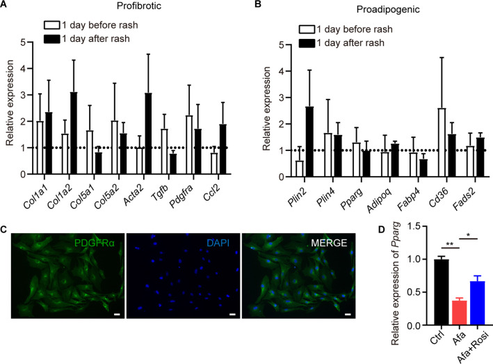 Figure 2—figure supplement 1.