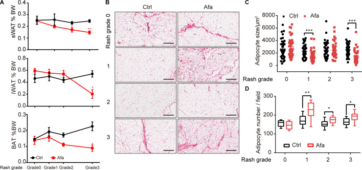 Figure 1—figure supplement 3.