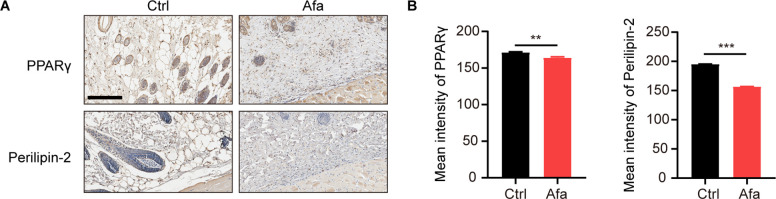 Figure 1—figure supplement 4.