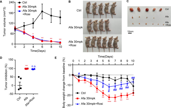 Figure 6—figure supplement 3.