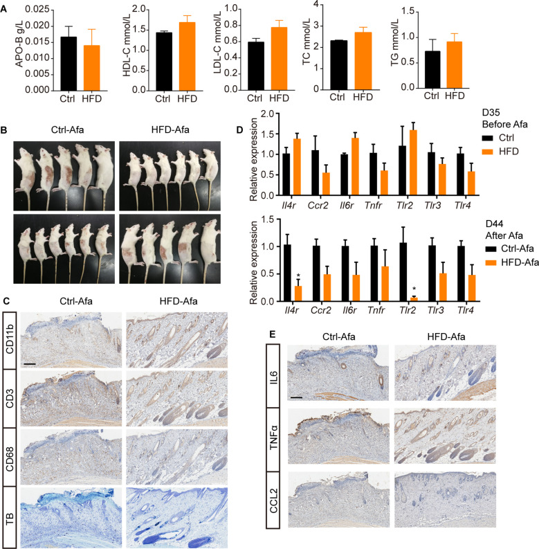 Figure 5—figure supplement 1.