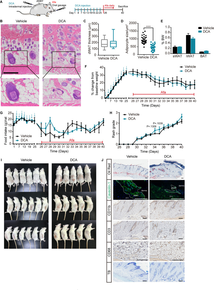 Figure 5—figure supplement 2.