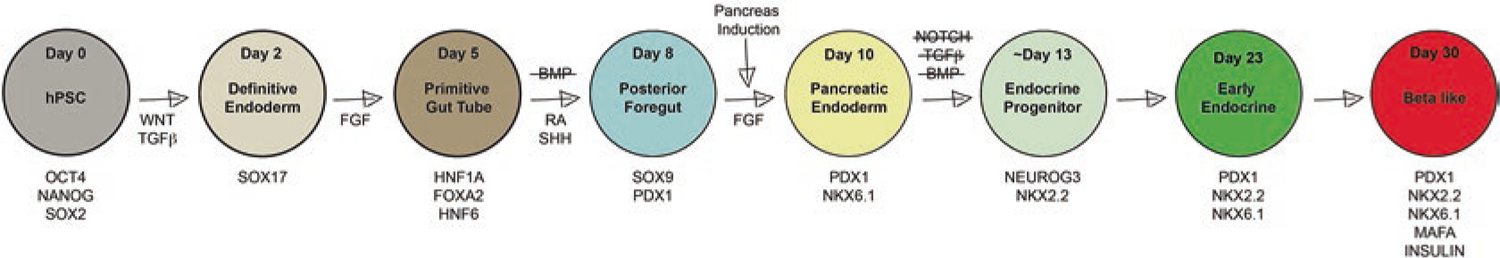 Fig. 3.4