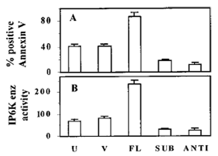 FIG. 11.