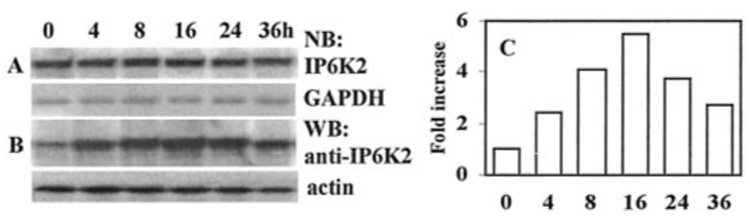 FIG. 6.