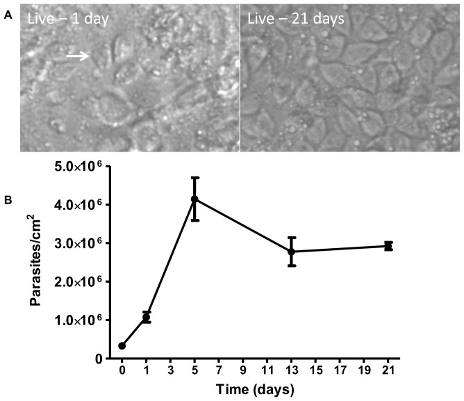 Figure 9