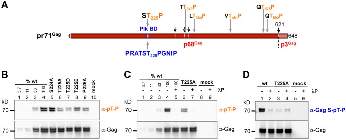 Fig 4