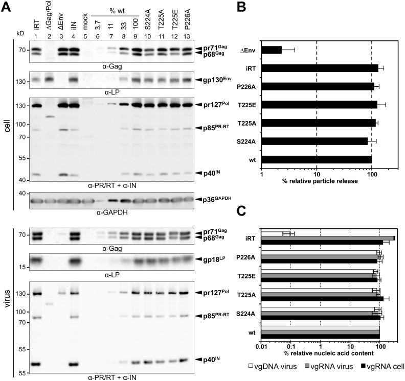 Fig 6