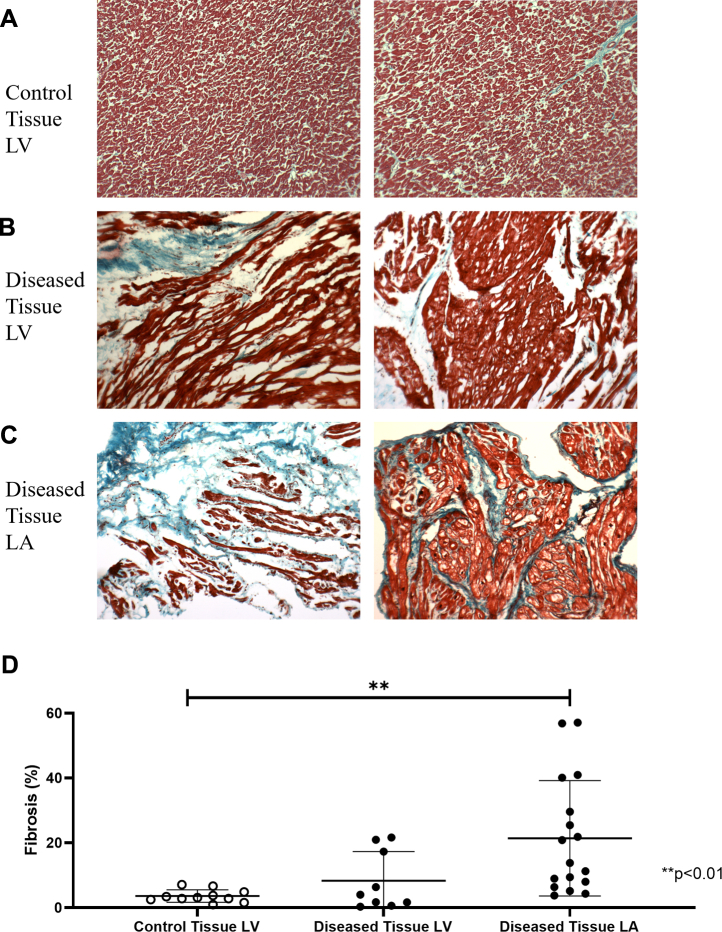 Figure 6