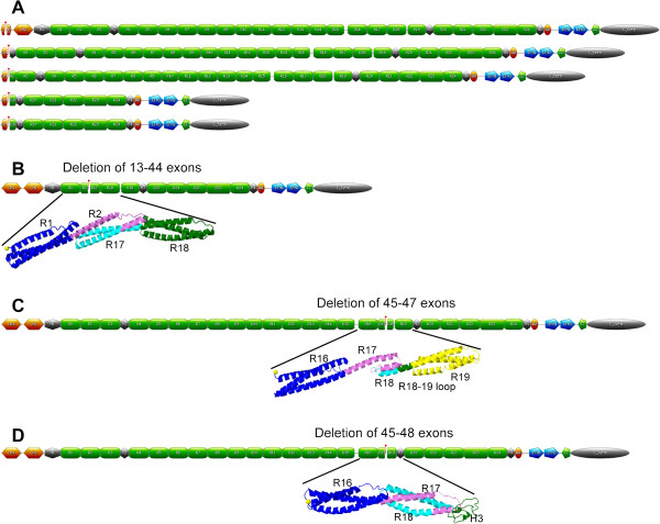 Figure 2 