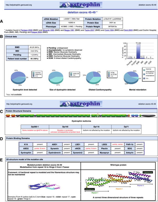 Figure 4 