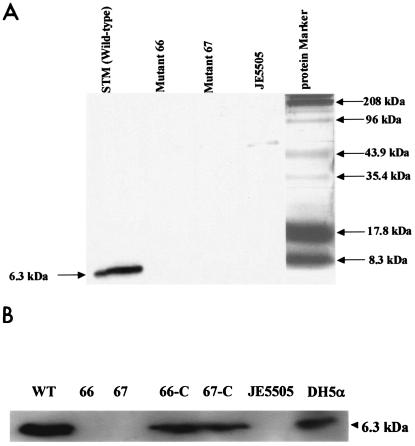 FIG. 3.