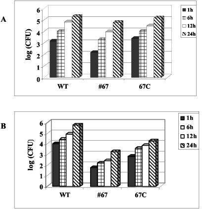 FIG. 6.