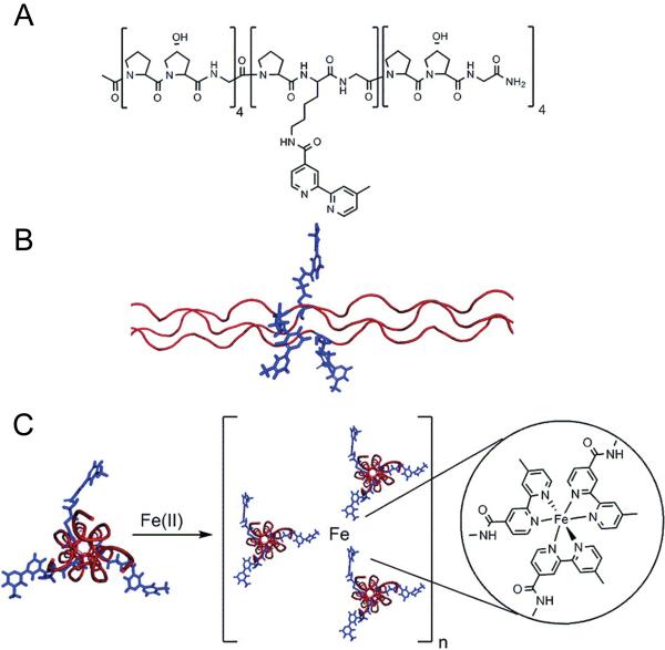 Fig. 3