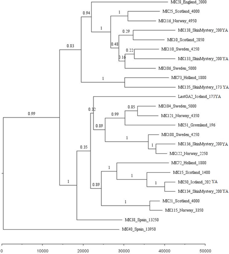 Appendix 1—figure 1.