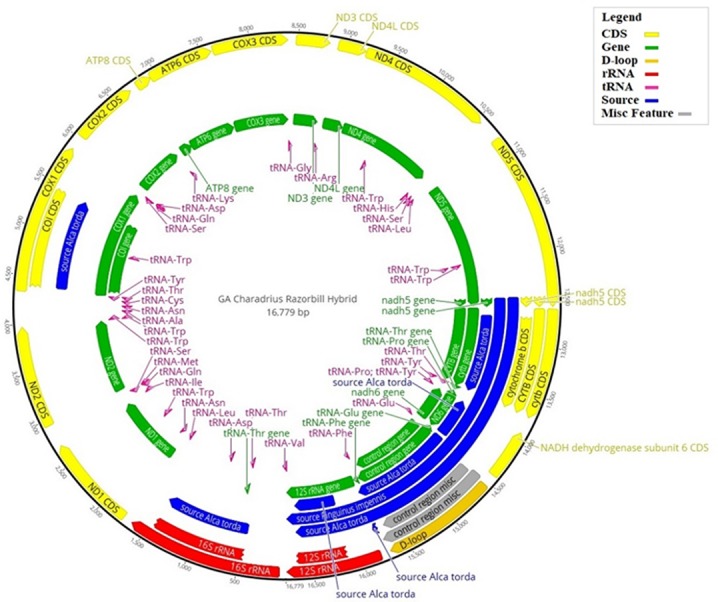 Appendix 4—figure 1.