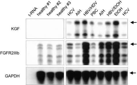 Figure 1-4237