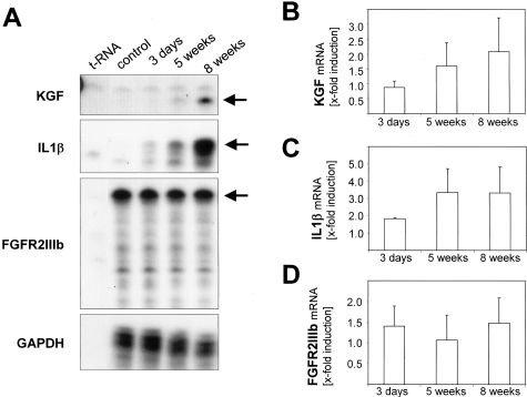 Figure 4-4237