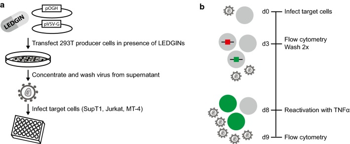 Fig. 3