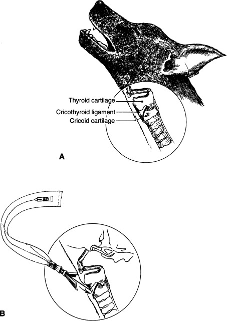 Figure 4-55