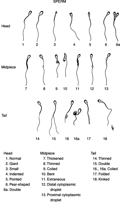Figure 4-54