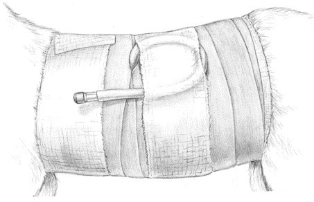 Figure 4-45