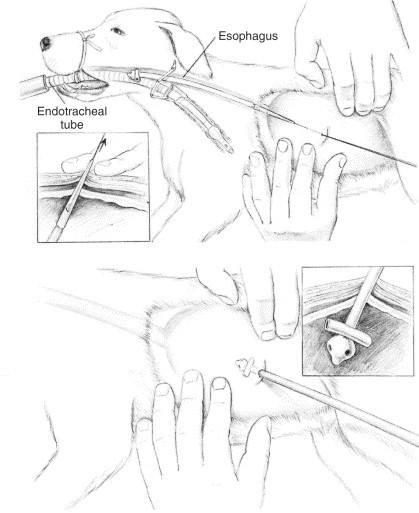 Figure 4-43