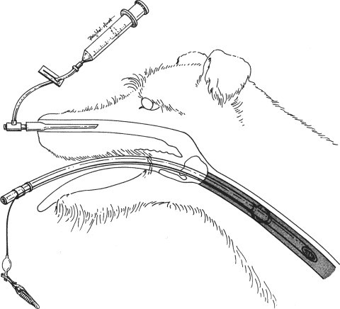 Figure 4-22