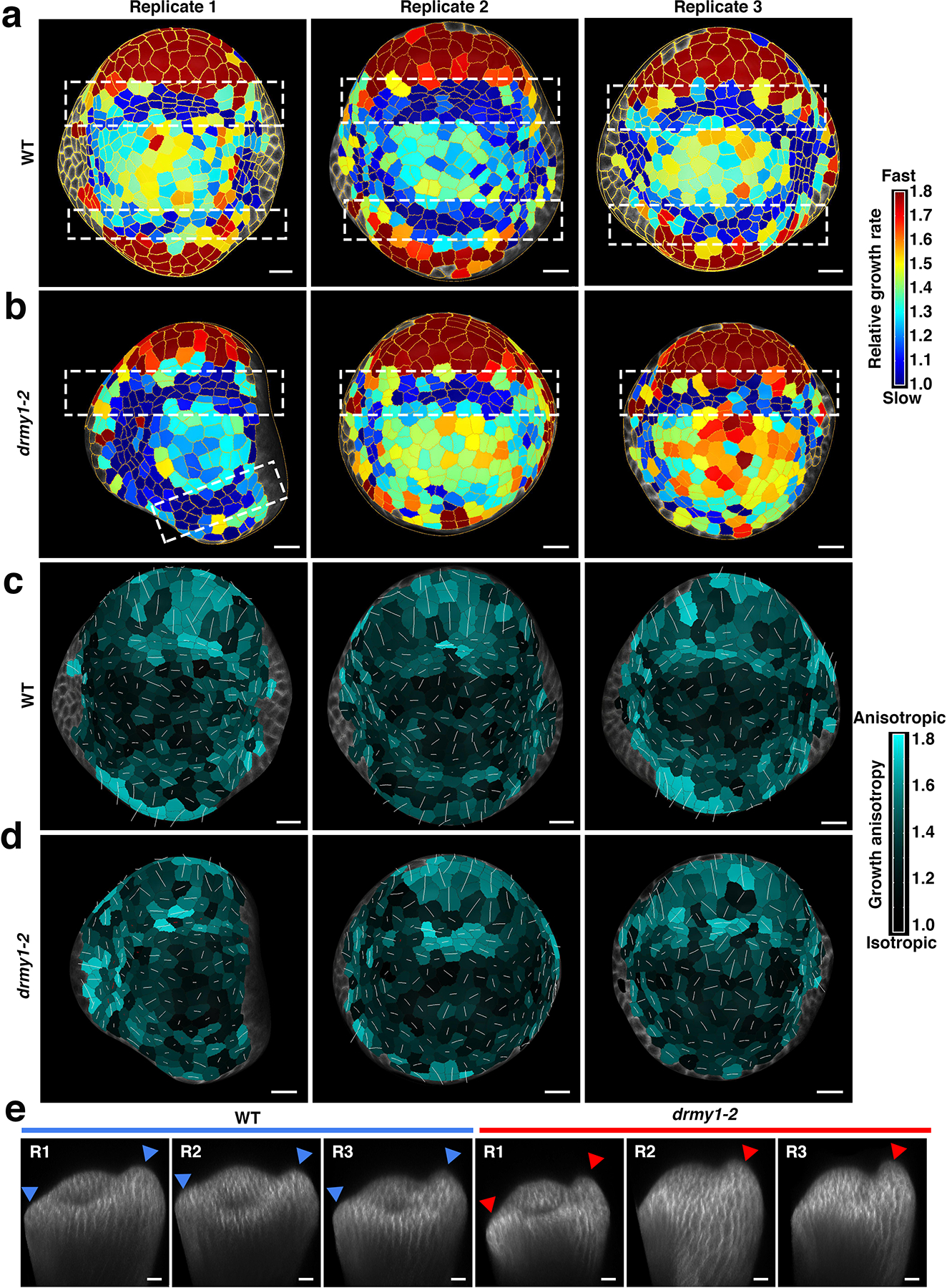 Extended Data Fig. 9