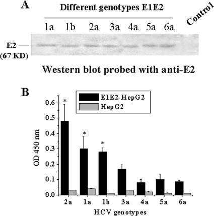 FIG. 8.